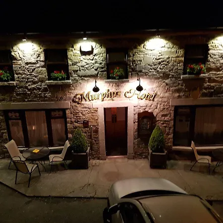 墨菲酒店 酒店 Tinahely